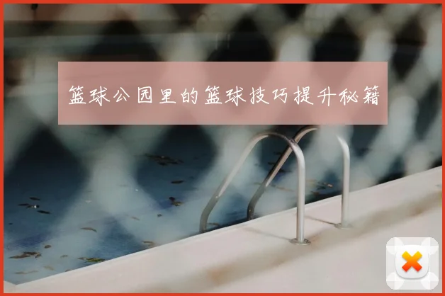 篮球公园里的篮球技巧提升秘籍
