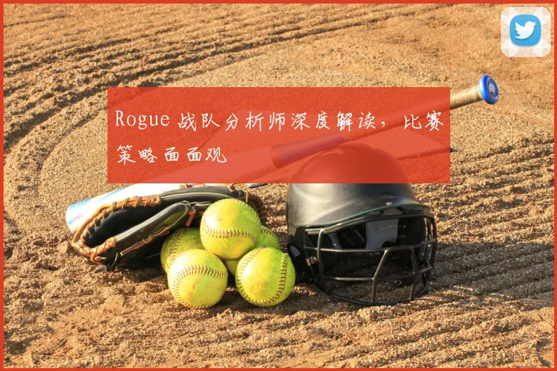 Rogue 战队分析师深度解读，比赛策略面面观