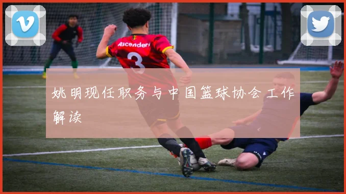 姚明现任职务与中国篮球协会工作解读